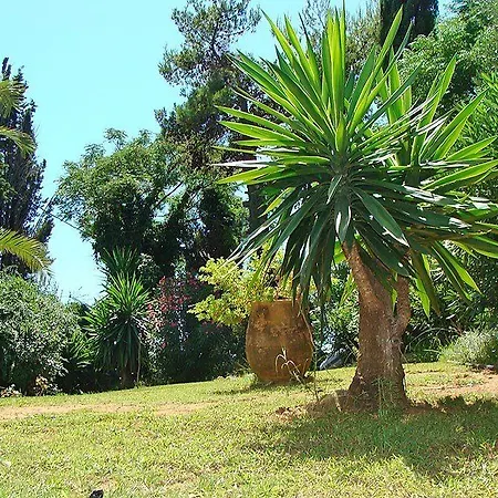 Alexandros&gerekos Otel