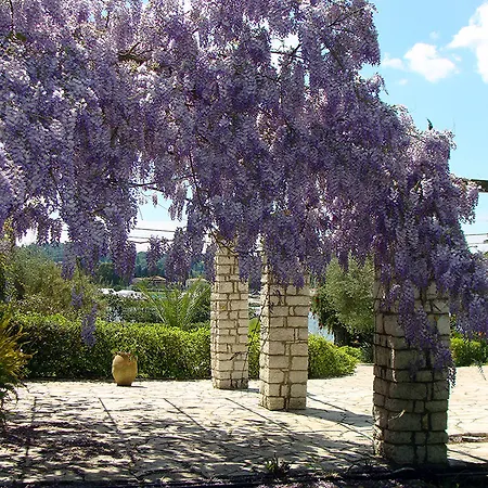 Hotel Alexandros&gerekos 2*