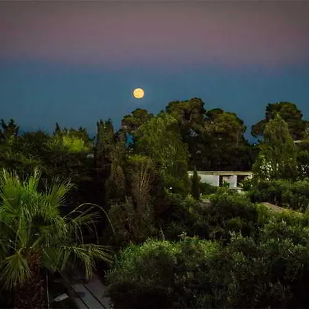 ホテル Alexandros&gerekos 2*